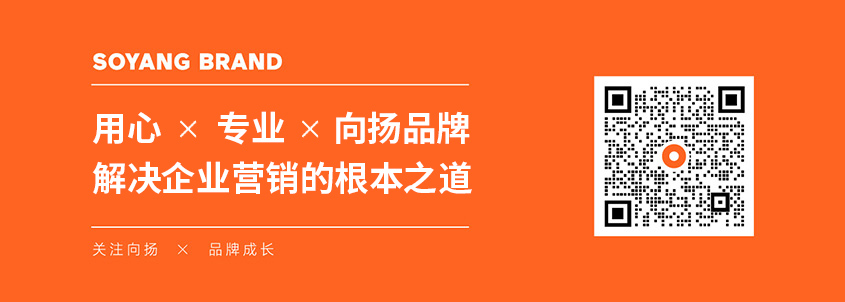 向揚(yáng)品牌深圳品牌營(yíng)銷策劃公司.jpg