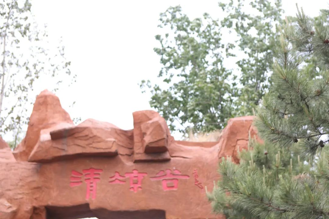 立足當(dāng)“夏”，覓清涼 