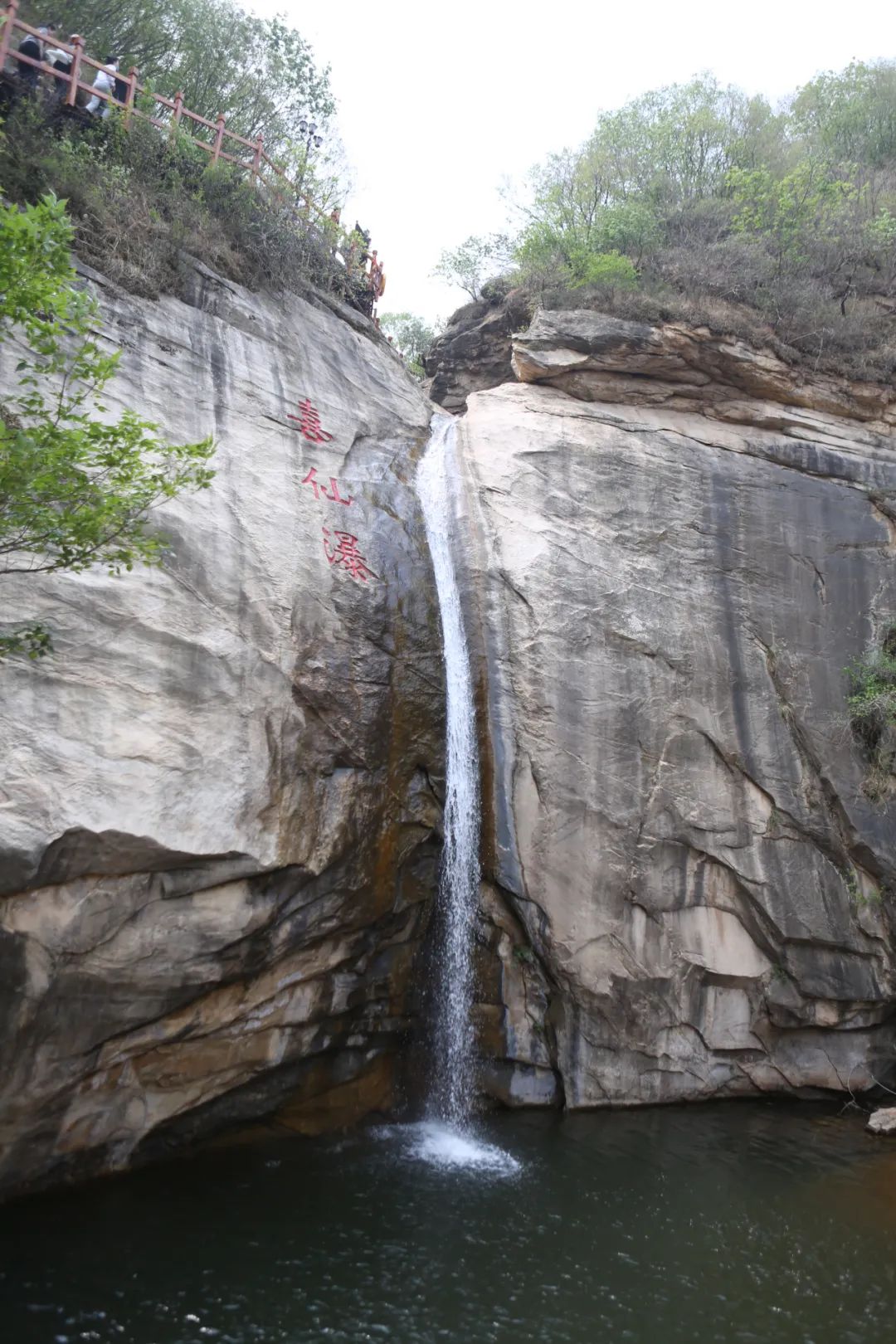 立足當(dāng)“夏”，覓清涼 