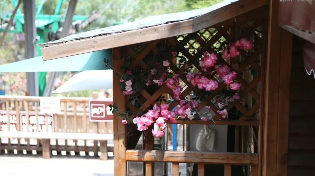 立足當(dāng)“夏”，覓清涼 